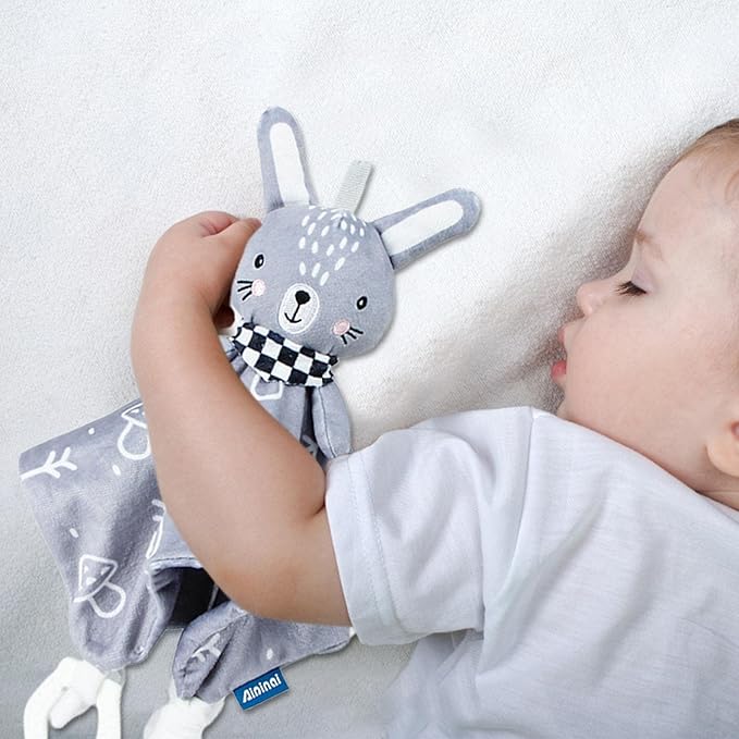 petit garçon endormi avec le doudou foxy