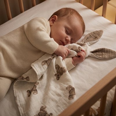 Présence rassurante de Doudou pour dormir
